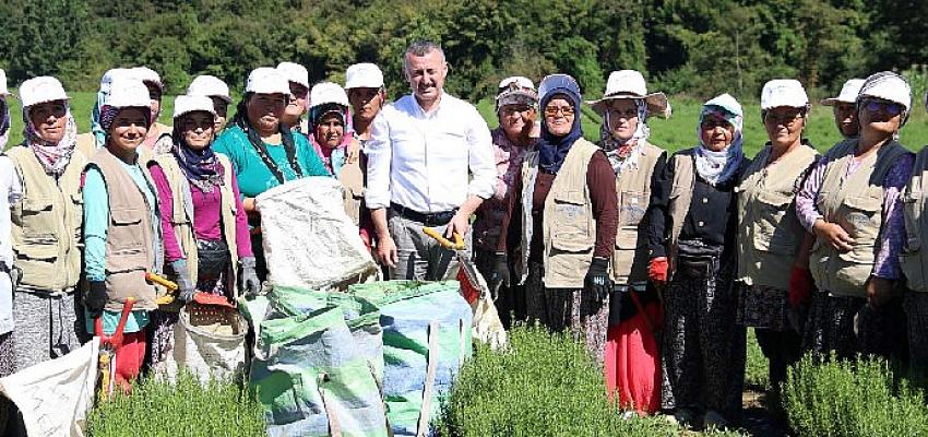 30 Büyükşehir, tarımın kalkınması için Kocaeli’de bir araya geliyor- Güncel Haberler