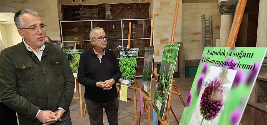 Kapadokya Bitkileri Sergisi Açıldı- Güncel Haberler