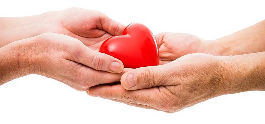 Organ Bağışı İle Hayat Kurtarın- Güncel Haberler