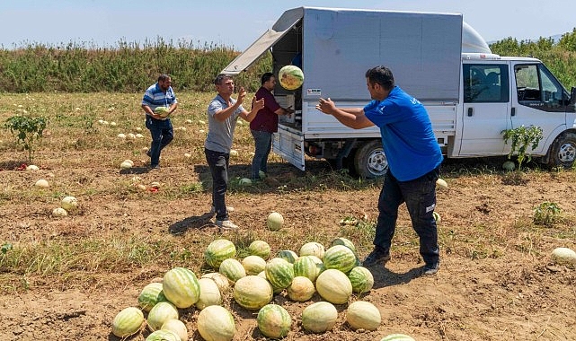 İzmirli çiftçi tarlada kalan karpuzunu hayvanlara bağışladı- Güncel Haberler