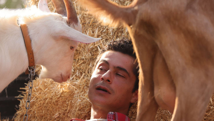 Mafya Dünyasından Bir Ailenin Sofrasına ‘Cennetin Çocukları’ Yakında TRT 1’de