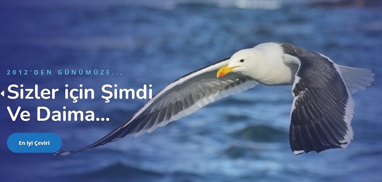 Teknik İngilizce Çeviri ve Portekizce Türkçe Çeviri