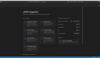 API ve Backend Dünyasında Yeni Bir Soluk: “jsonorganizer.com”