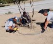 Burhaniye’de Park Bakımları Başladı- Güncel Haberler
