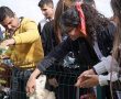 Genç Öğrenciler Hayvan Sevgisine Dikkat Çekti- Güncel Haberler