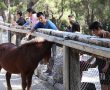 Hayvanat Bahçesi özel öğrencileri ağırladı- Güncel Haberler
